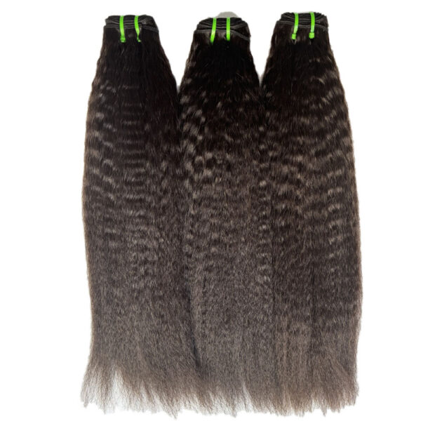 Cambodian Virgin Hair – Kinky Straight